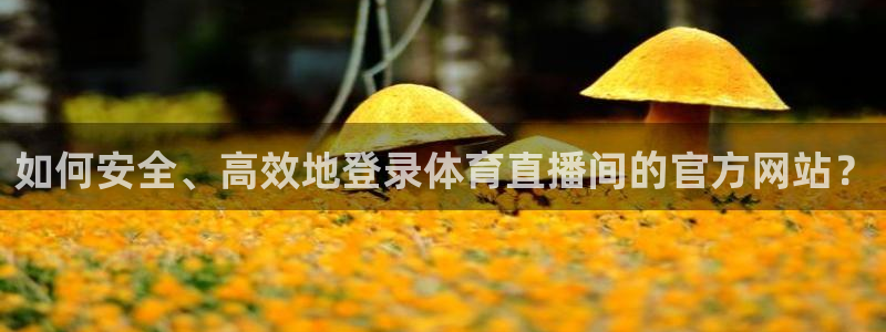 如何安全、高效地登录体育直播间的官方网站？