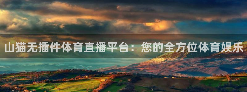 山猫无插件体育直播平台：您的全方位体育娱乐