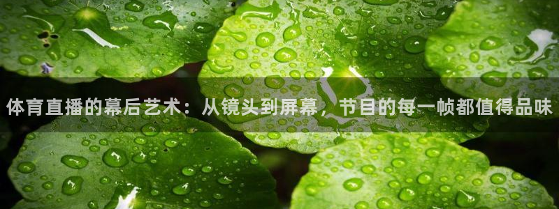 体育直播的幕后艺术：从镜头到屏幕，节目的每一帧都值得品味