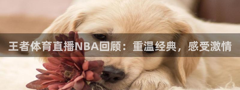 王者体育直播NBA回顾：重温经典，感受激情